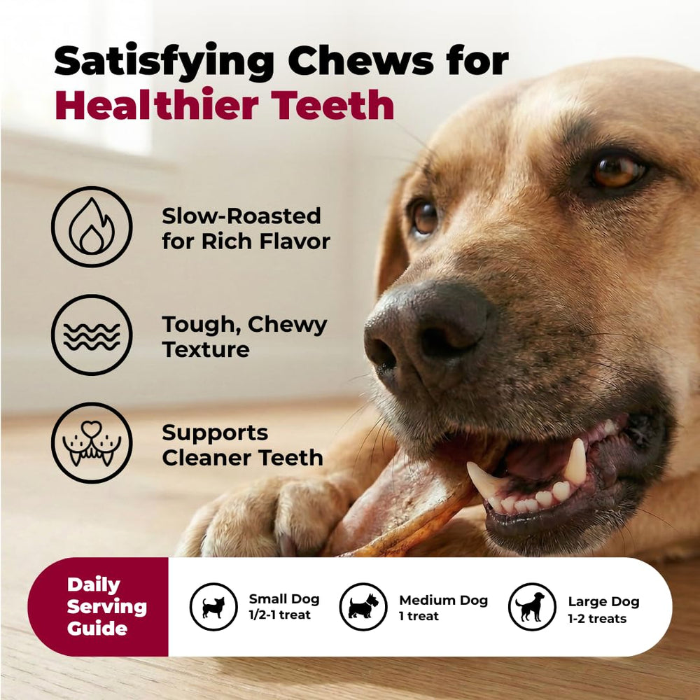 Texture naturelle GigaBite favorise la mastication efficace pour chiens actifs.