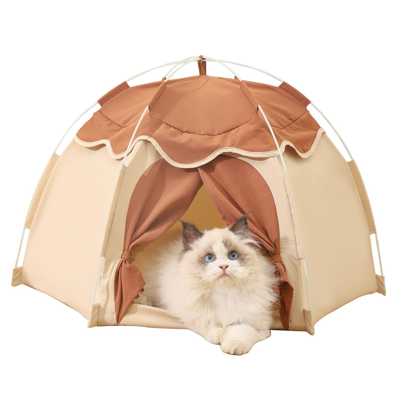 Gigreinc Tente intérieur pour chat avec canopée fleuri, refuge douillet.
