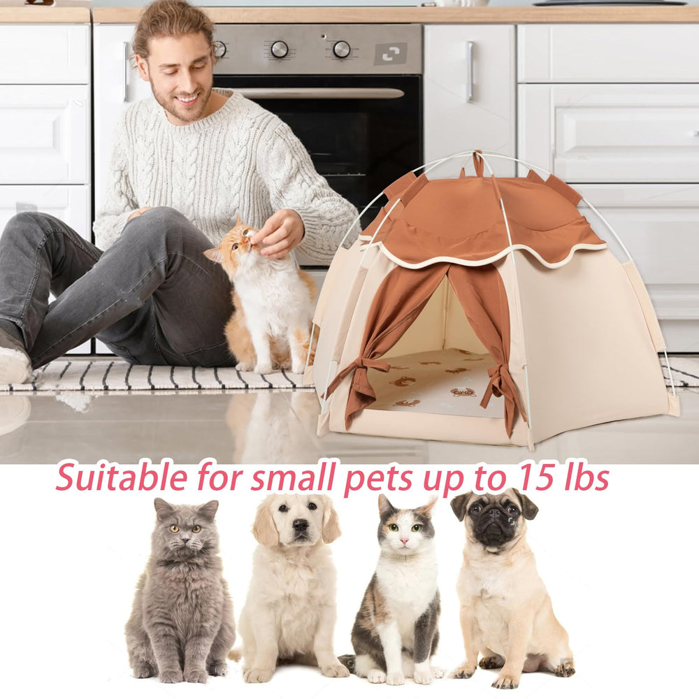 Gigreinc Tente intérieur, taille moyenne adaptée aux chats et petits chiens.