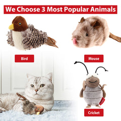 Gigwi pack jouets chat automatiques grillon : jeu autonome pour chat