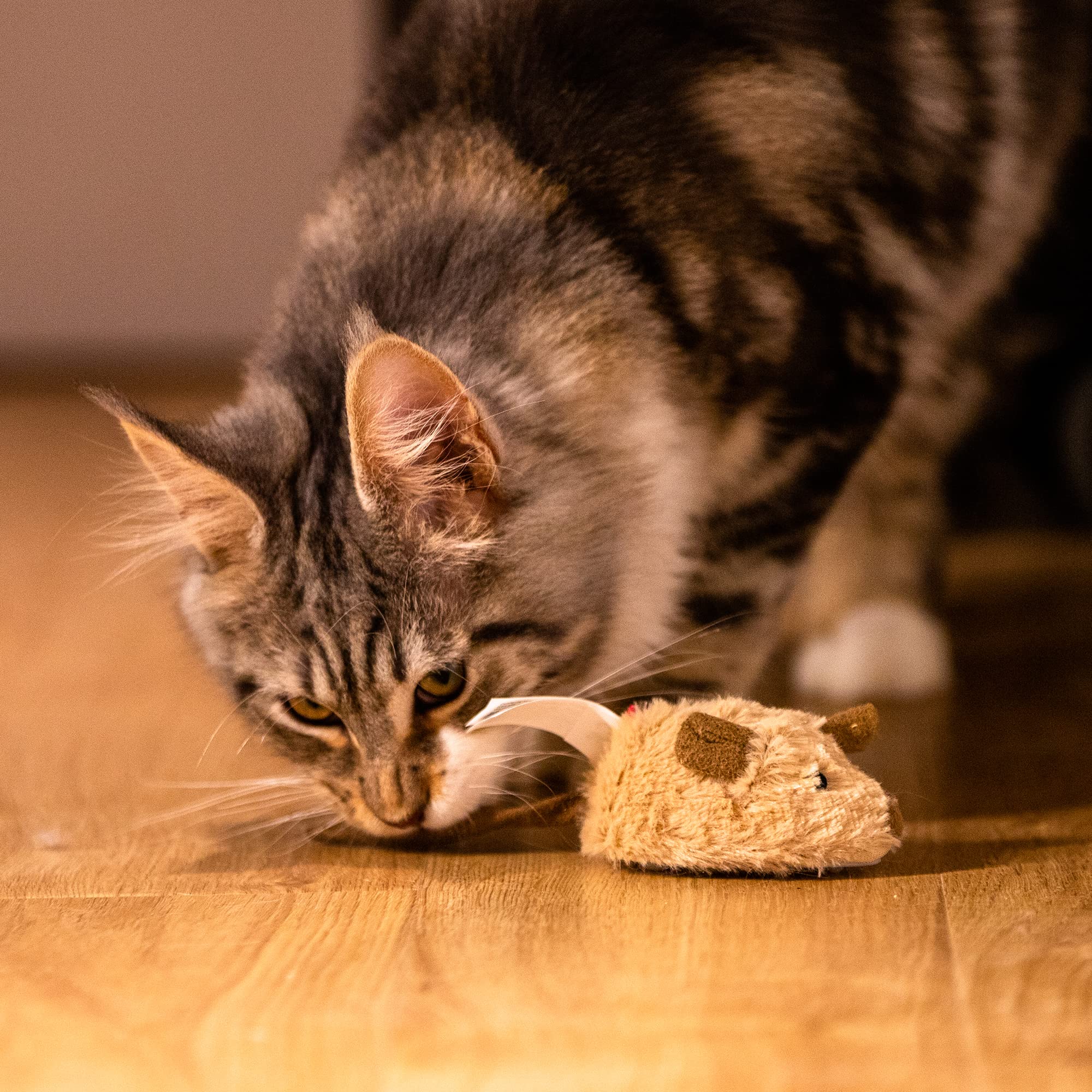 Gigwi Souris Interactif pour Chat, service après-vente fiable et garantie.