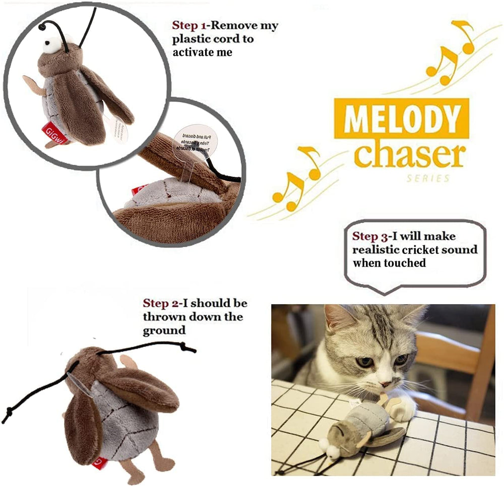 Gigwi taille compacte adaptée aux chatons et chats d'intérieur.