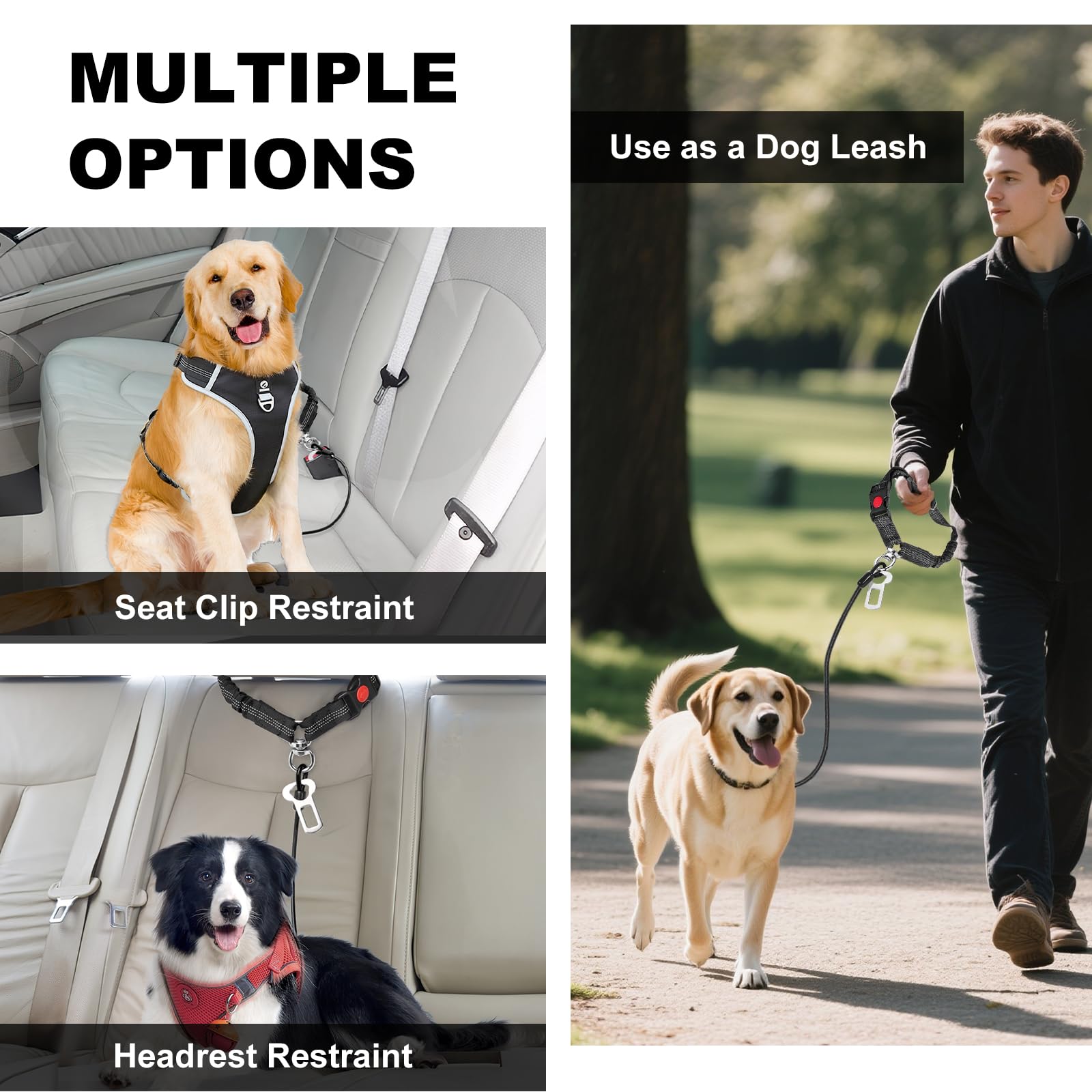 Giiyoe sangle reglable et réfléchissante pour chien