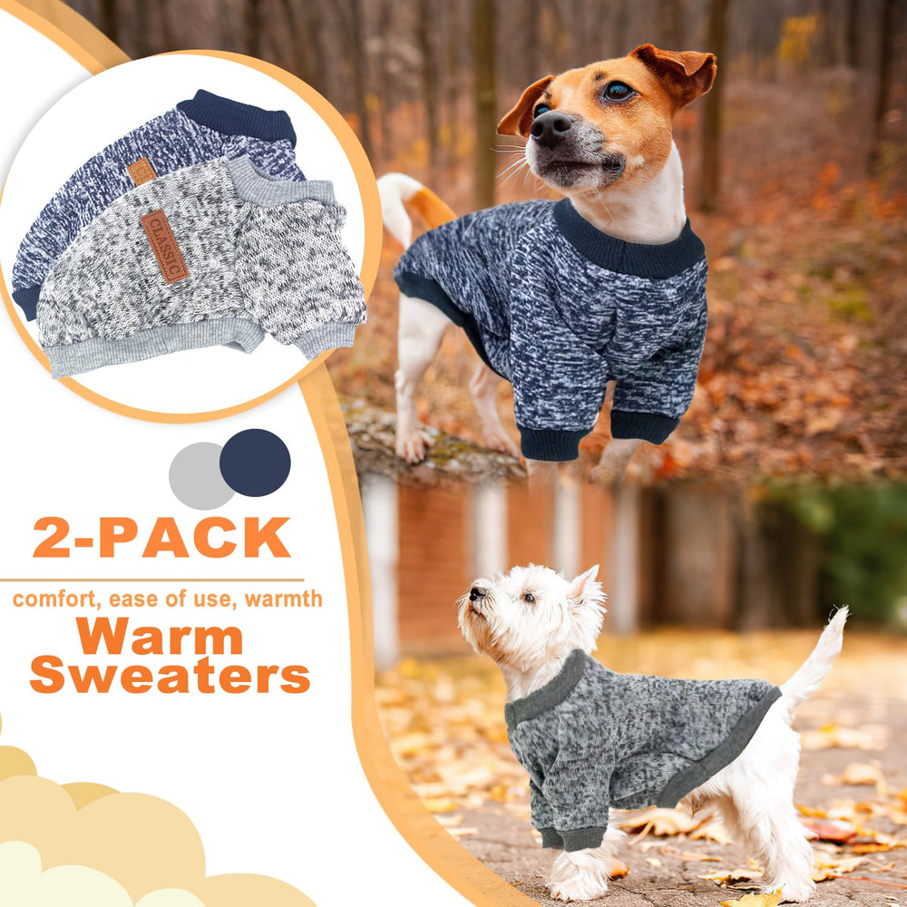 pull-chien-petit L ensemble: chaleur durable pour sorties froides.