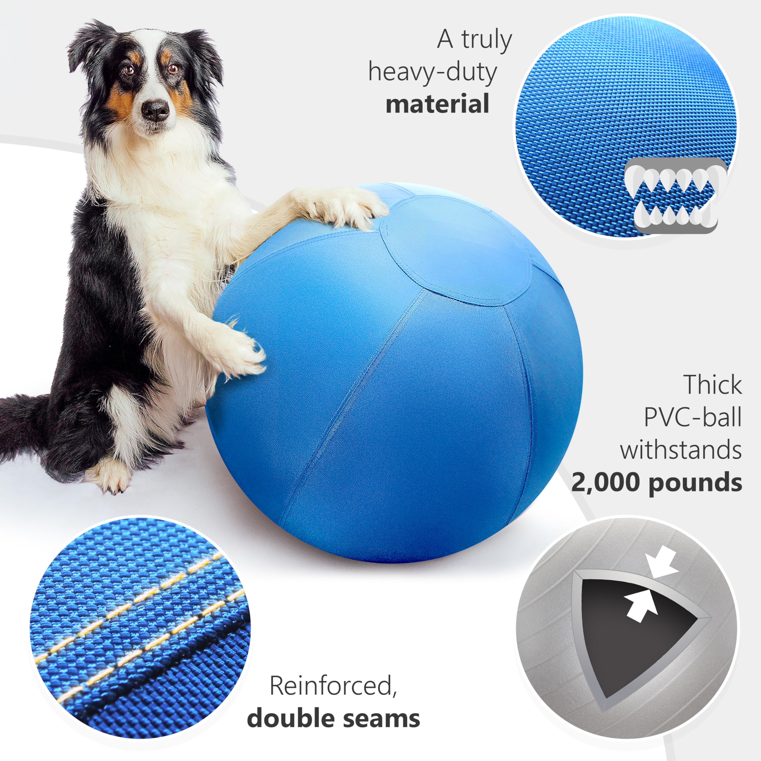 GILYX ballon dressage chien incassable ideal pour sessions intenses