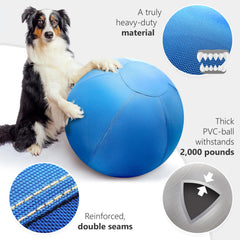 GILYX ballon dressage chien incassable ideal pour sessions intenses