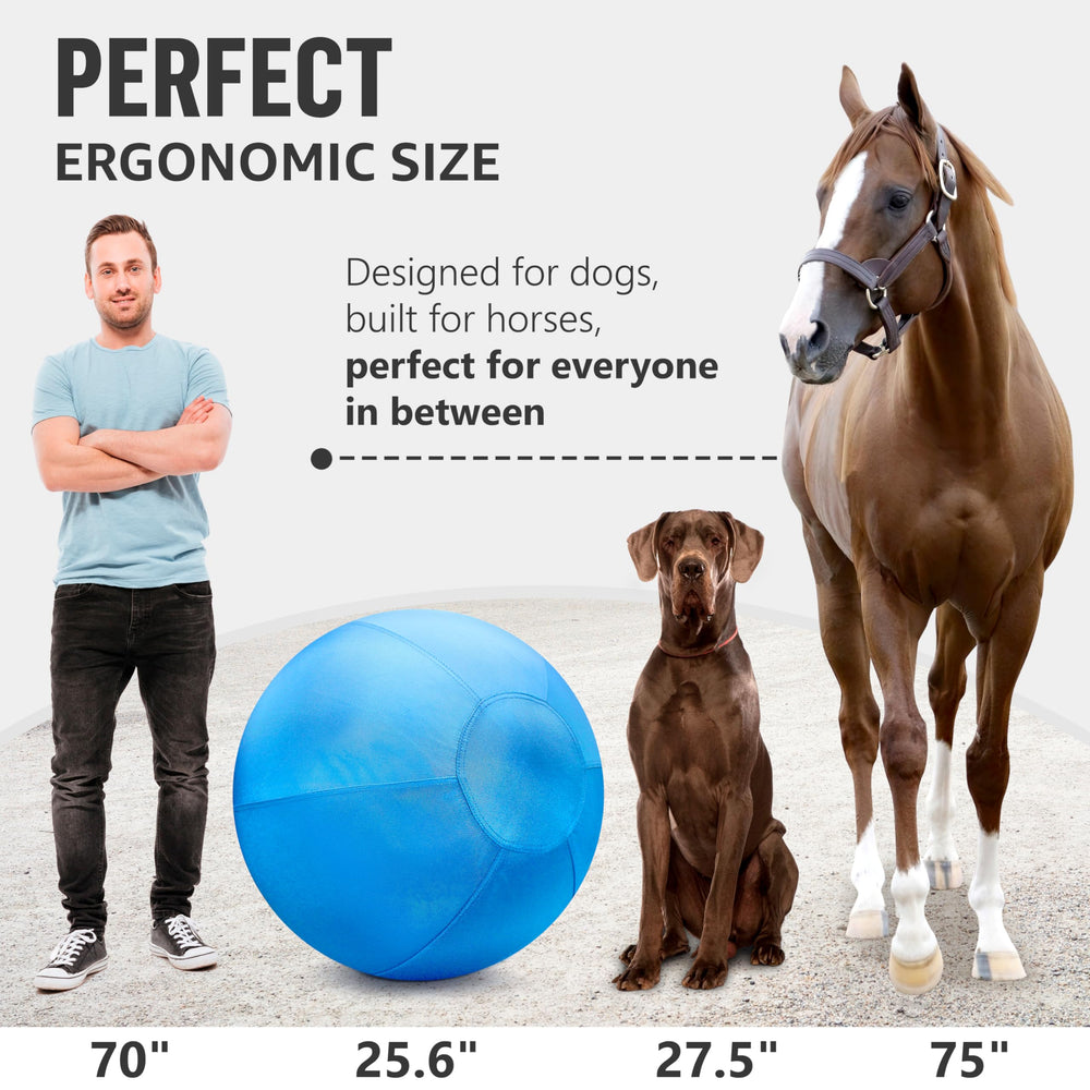 GILYX ballon exterieur dressage 25 pouces facile a nettoyer apres jeu