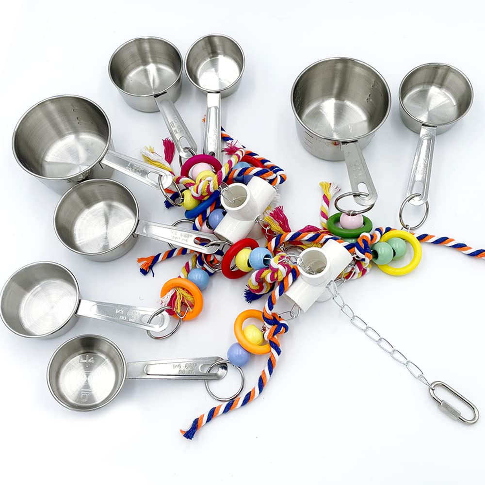 GILYGI ensemble pour grands perroquets, stimulation et divertissement