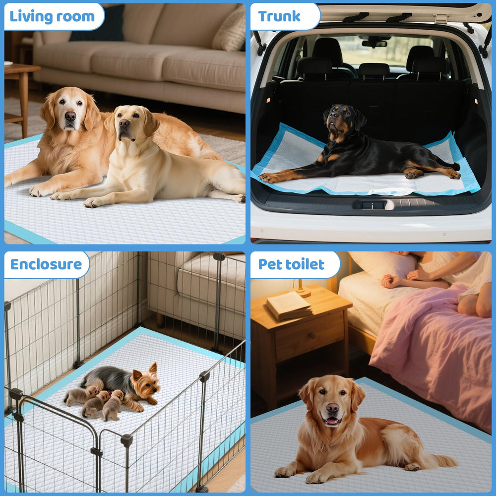 Gimars pads multi-chiens, aperçu de la solution pratique pour foyers multi-chiens.