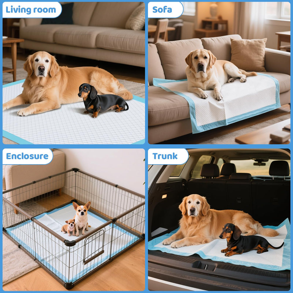 Gimars Pack de 40 tapis-pipi pour chiens, pratique et économique