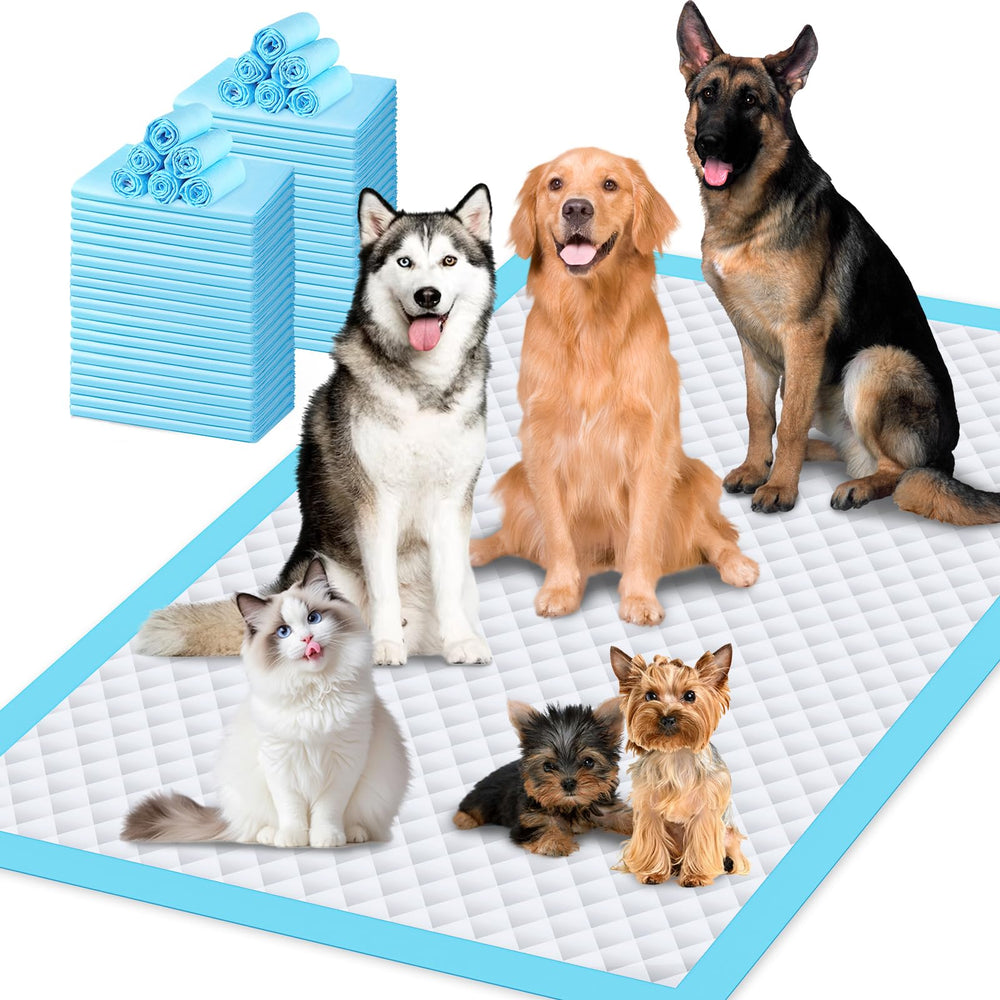 Gimars Tapis Pipi jetables Extra Large, surface généreuse pour l apprentissage quotidien