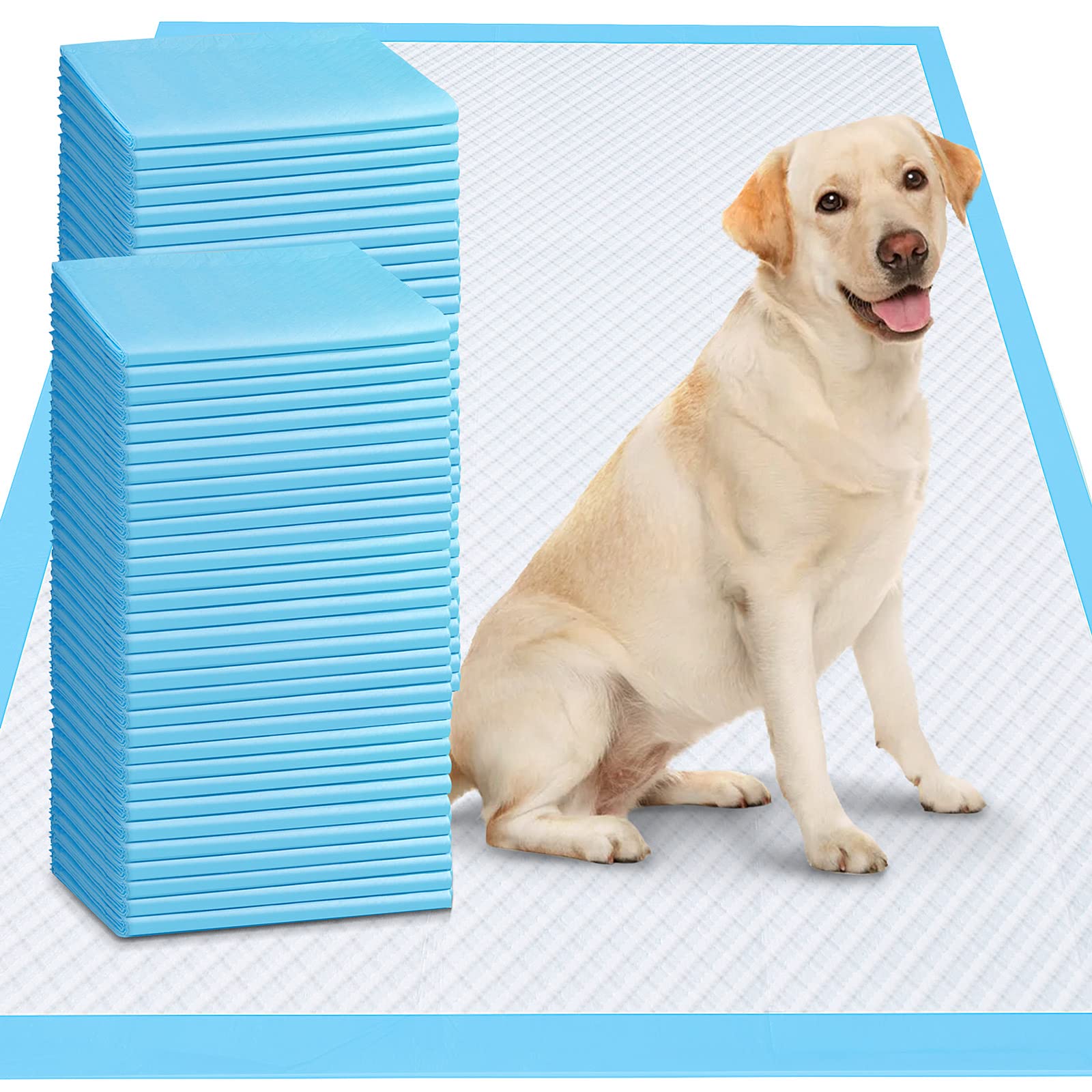 Gimars tapis pour chien 36x36 absorbant, idéal pour entraînement et sols protégés.