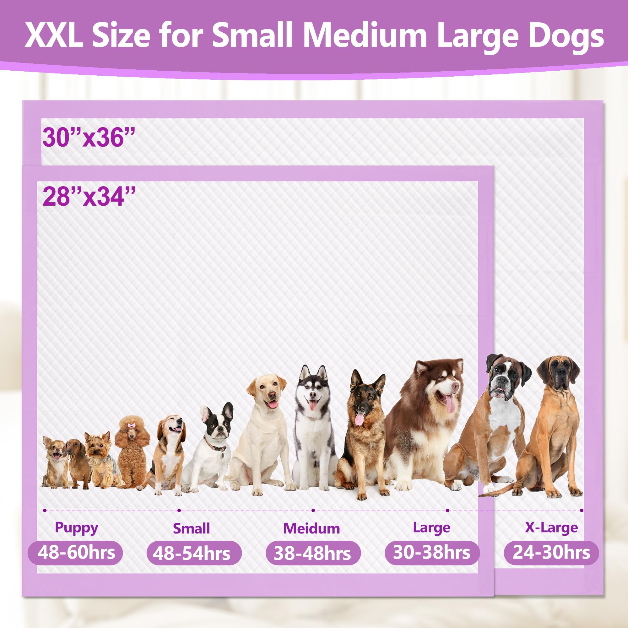 Gimars XL, usage polyvalent pour chiens, chats et petits animaux.