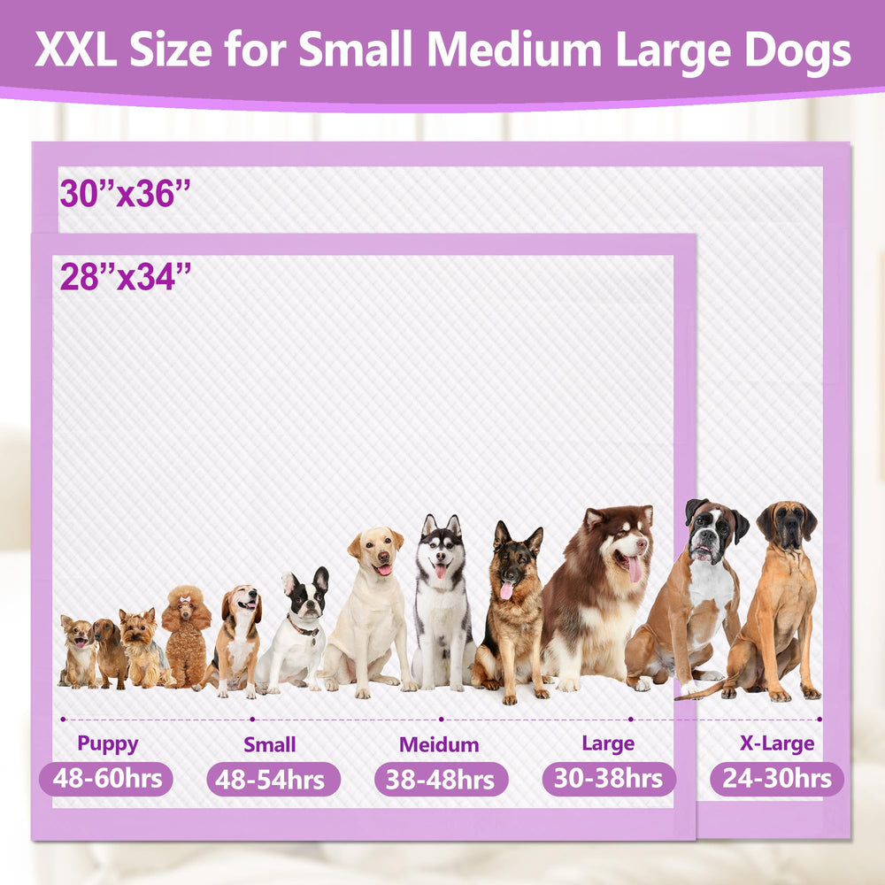 Gimars XL, usage polyvalent pour chiens, chats et petits animaux.