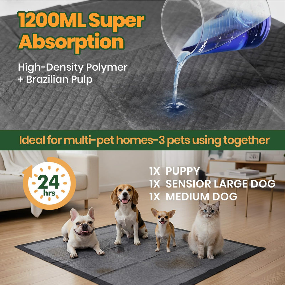 Gimars XXXL: tapis grand format 79x120 cm pour une couverture optimale du sol