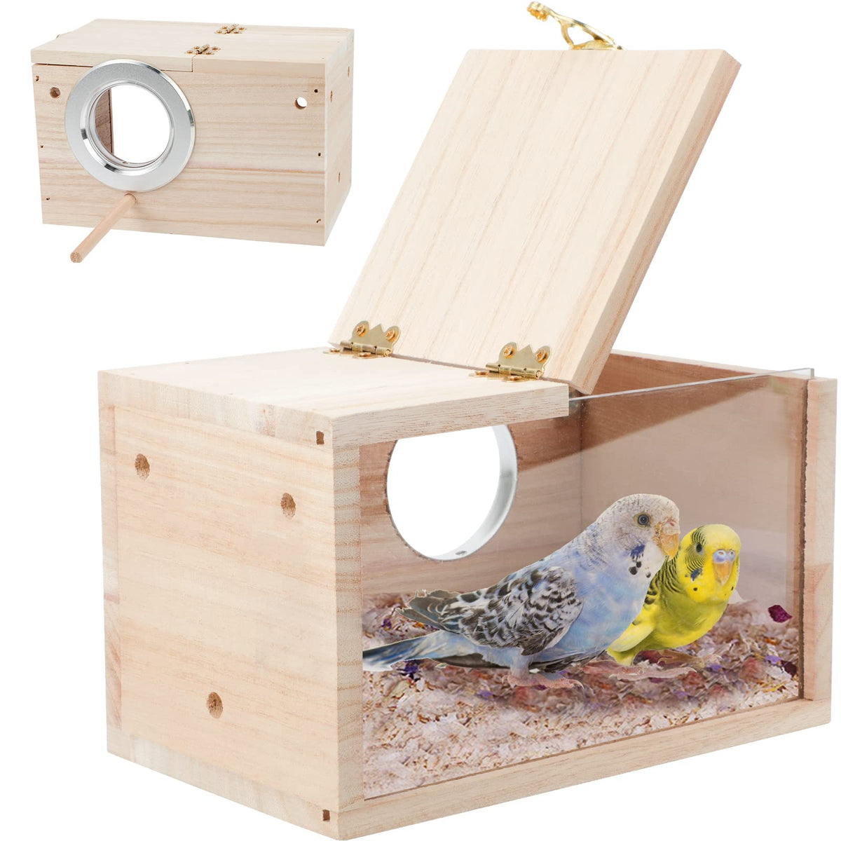 Boîte-nid GINDOOR transparente en bois pour observer sans déranger les oiseaux.