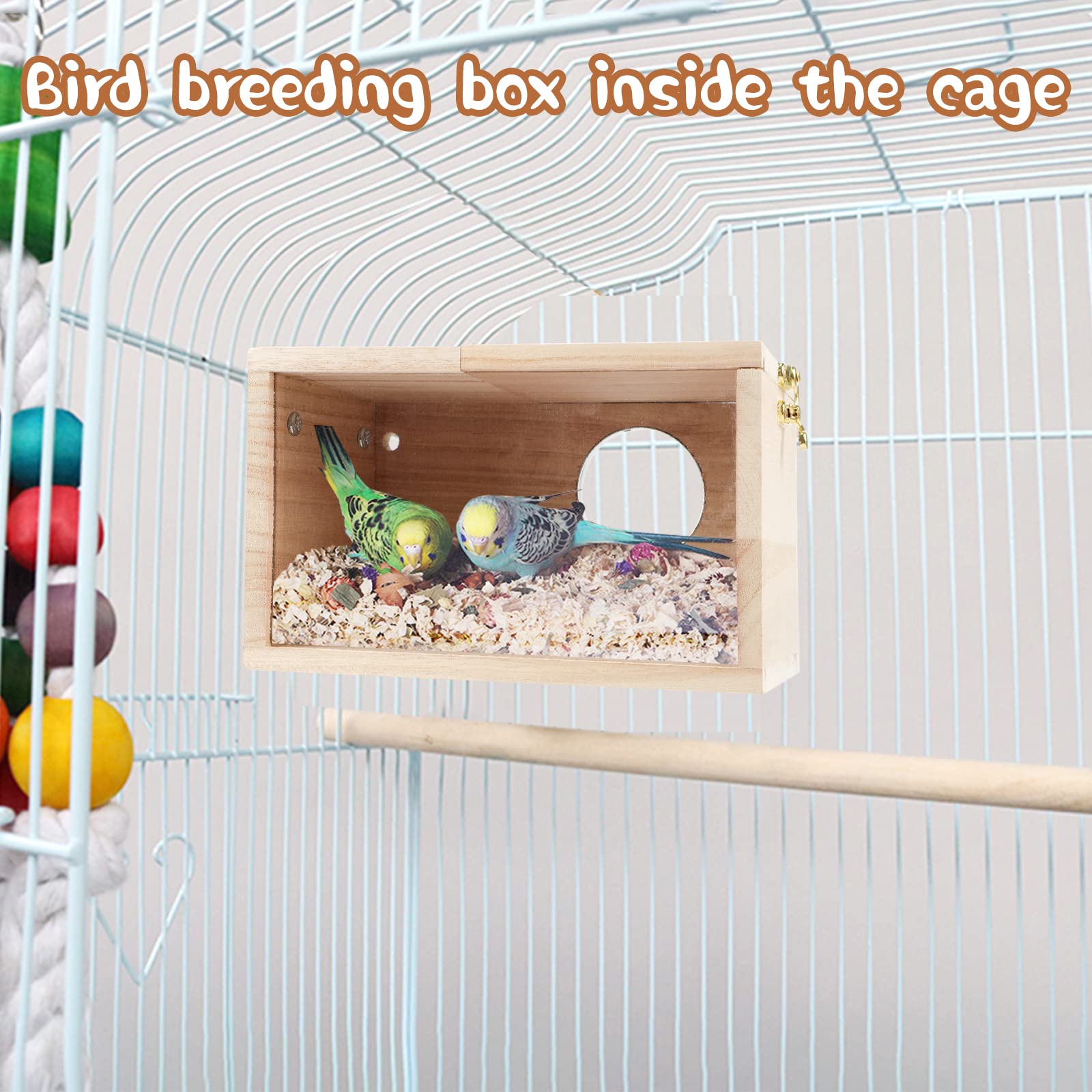 Idéal pour budgies et perruches dans une volière domestique.