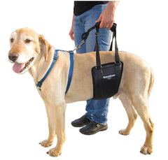 GingerLead harnais à sangle dos chien, soutien pratique pour la marche et la mobilité.