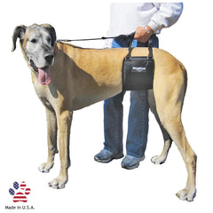 GingerLead: harnais sling pour soutien de hanche chez les grands chiens.