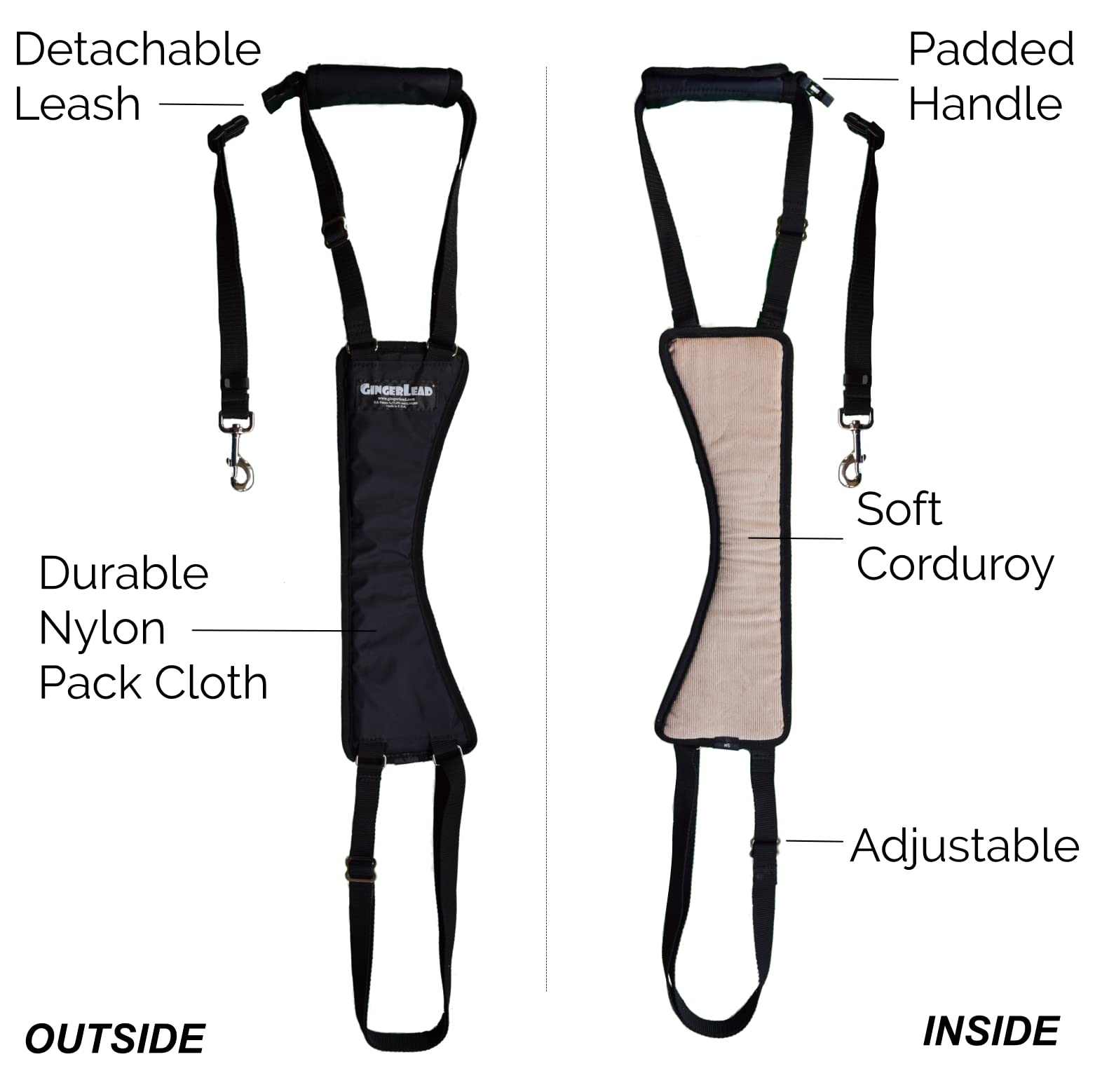 GingerLead laisse intégrée, pratique lors des sorties et exercices.