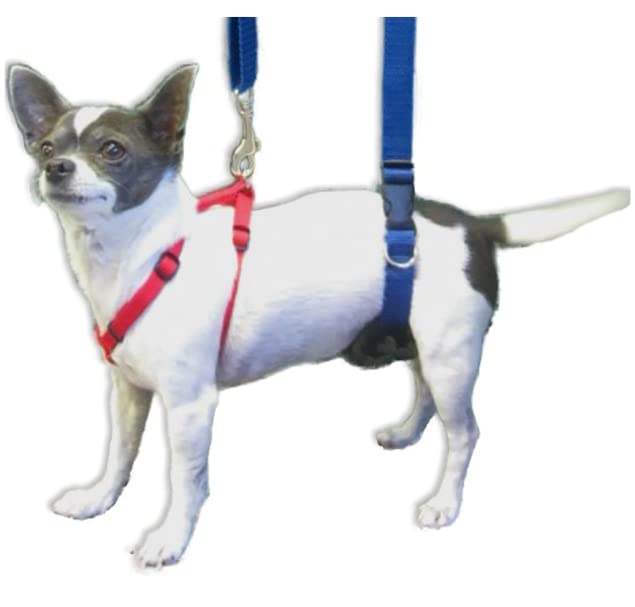 GingerLead Sling: longueur réglable pour s’adapter à toutes les morphologies.