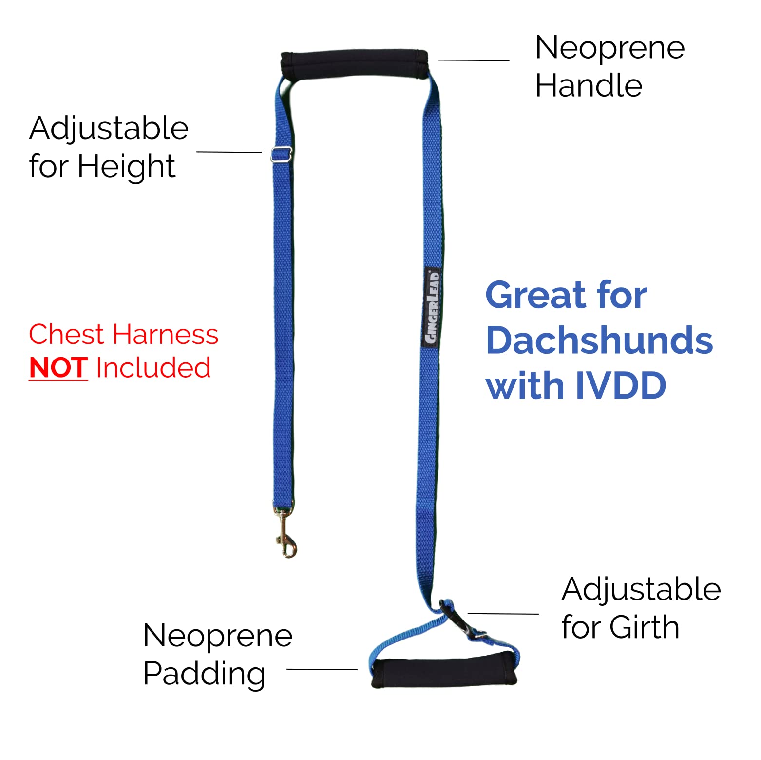 GingerLead Sling: utilisation quotidienne sûre et pratique pour les chiens.