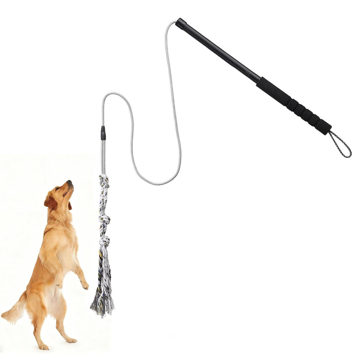 Gingull Flirt Pole en action en extérieur, stimule l'énergie du chien lors d'une séance de jeu.
