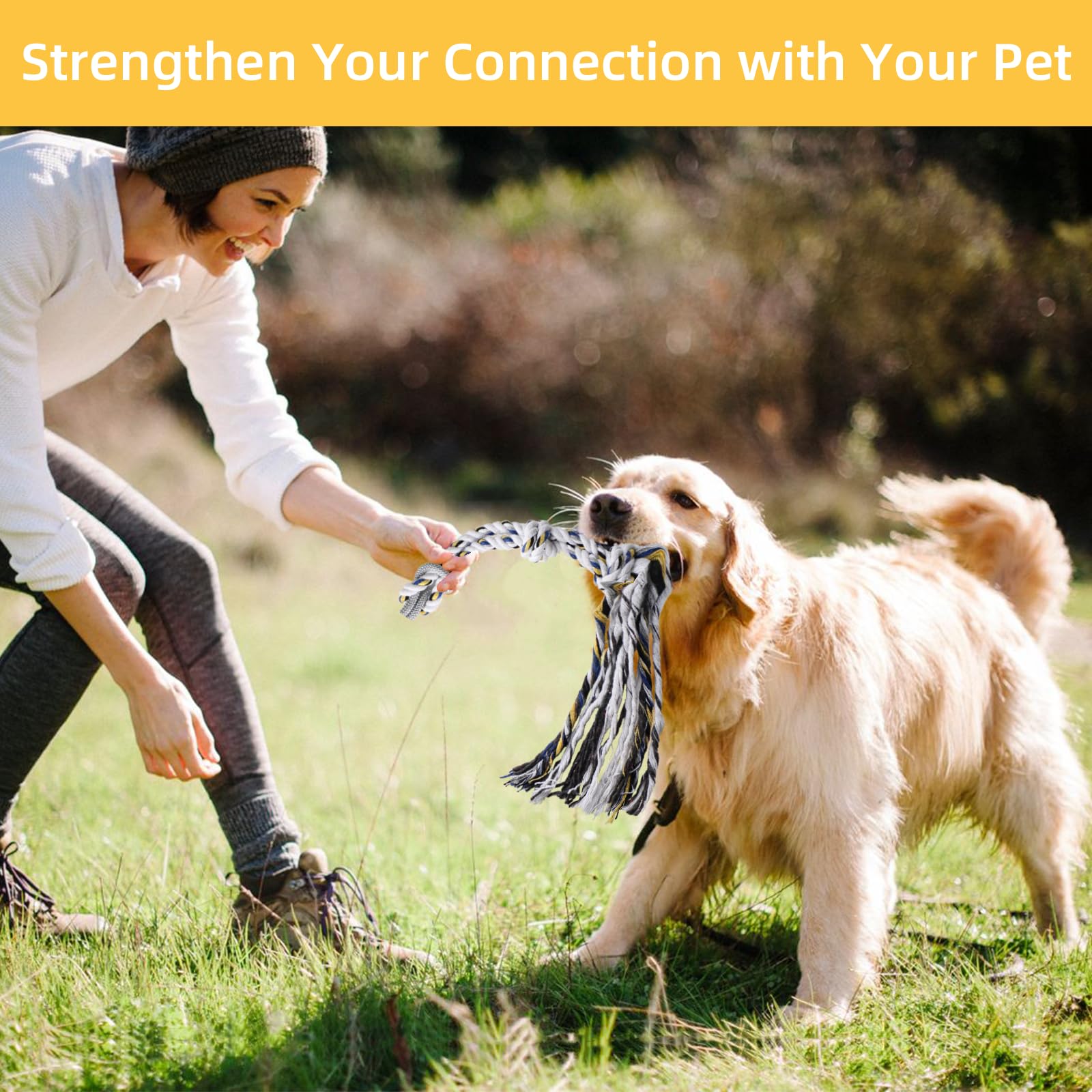 Gingull Flirt Pole en utilisation extérieure, activité stimulante pour chien.