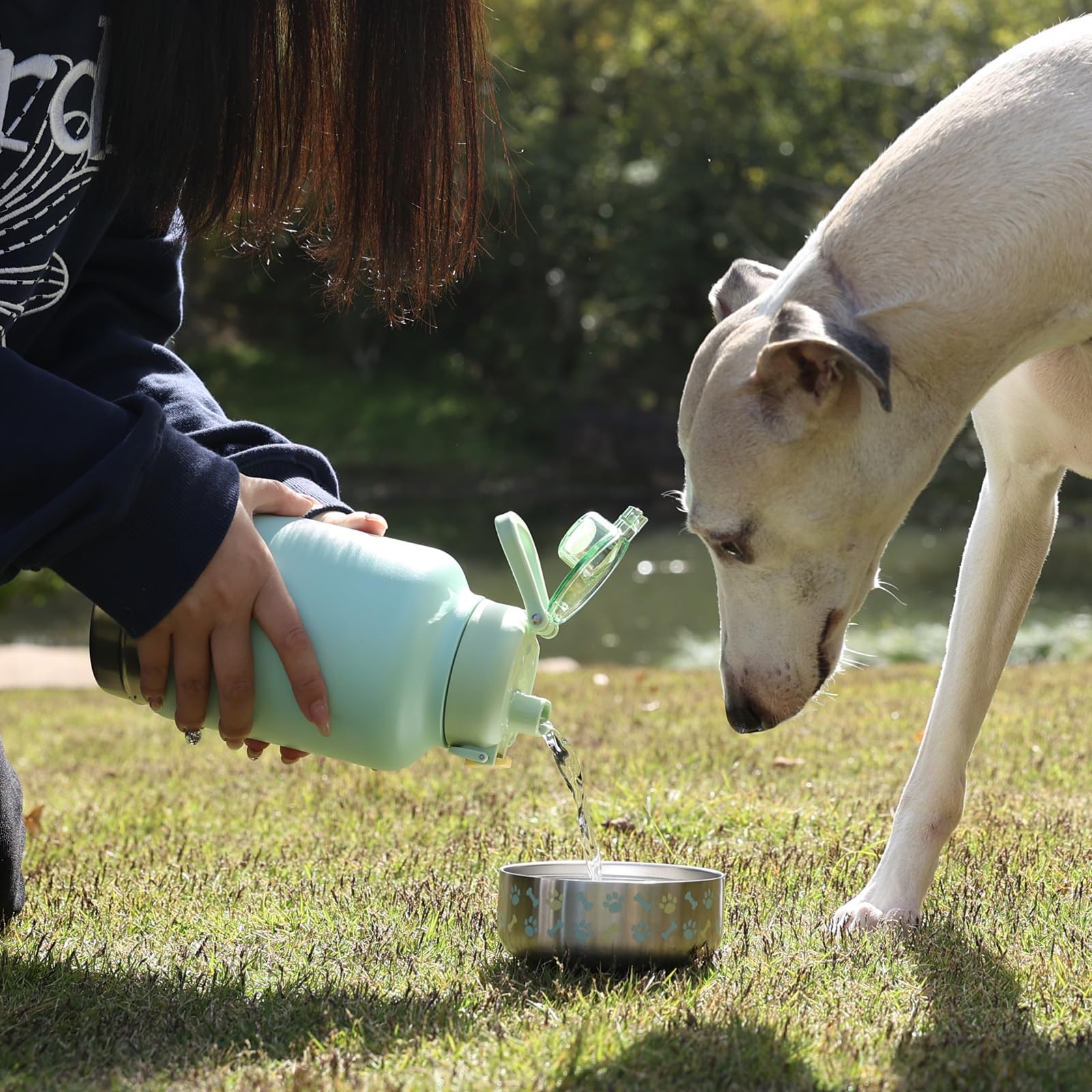 GiNT bouteille eau cadeau pour propriétaires de chiens.