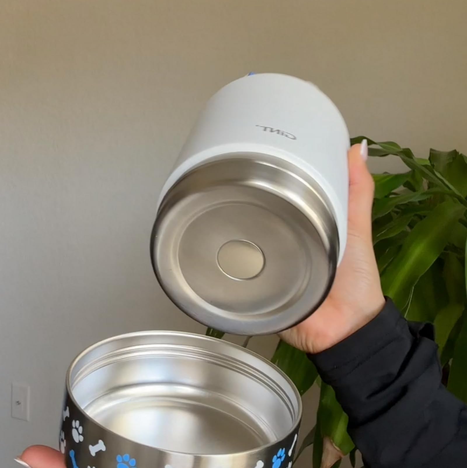 GiNT bouteille eau pour chien et humain, solution tout-en-un hydratation.