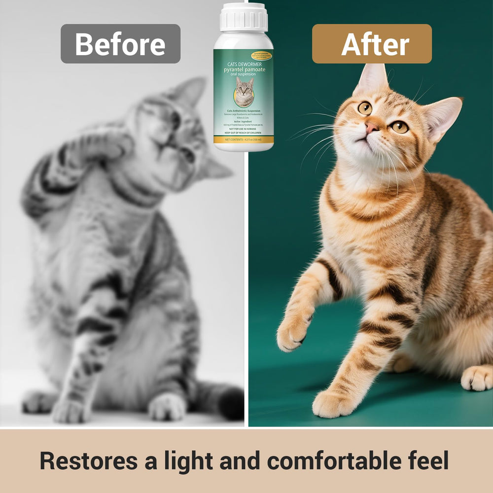 Ginzeca Vermifuge chat – le liquide peut être accepté par le chat.