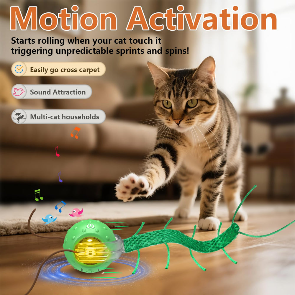 Trois modes de jeu Giociv adaptés à l énergie du chat.