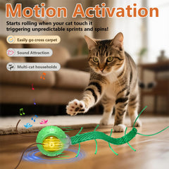 Trois modes de jeu Giociv adaptés à l énergie du chat.