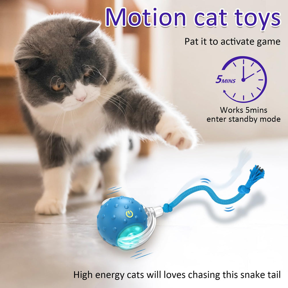 Giociv balle-jouet-chat-chant-d-oiseau-realiste, attire l’attention du chat