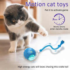 Giociv balle-jouet-chat-chant-d-oiseau-realiste, attire l’attention du chat