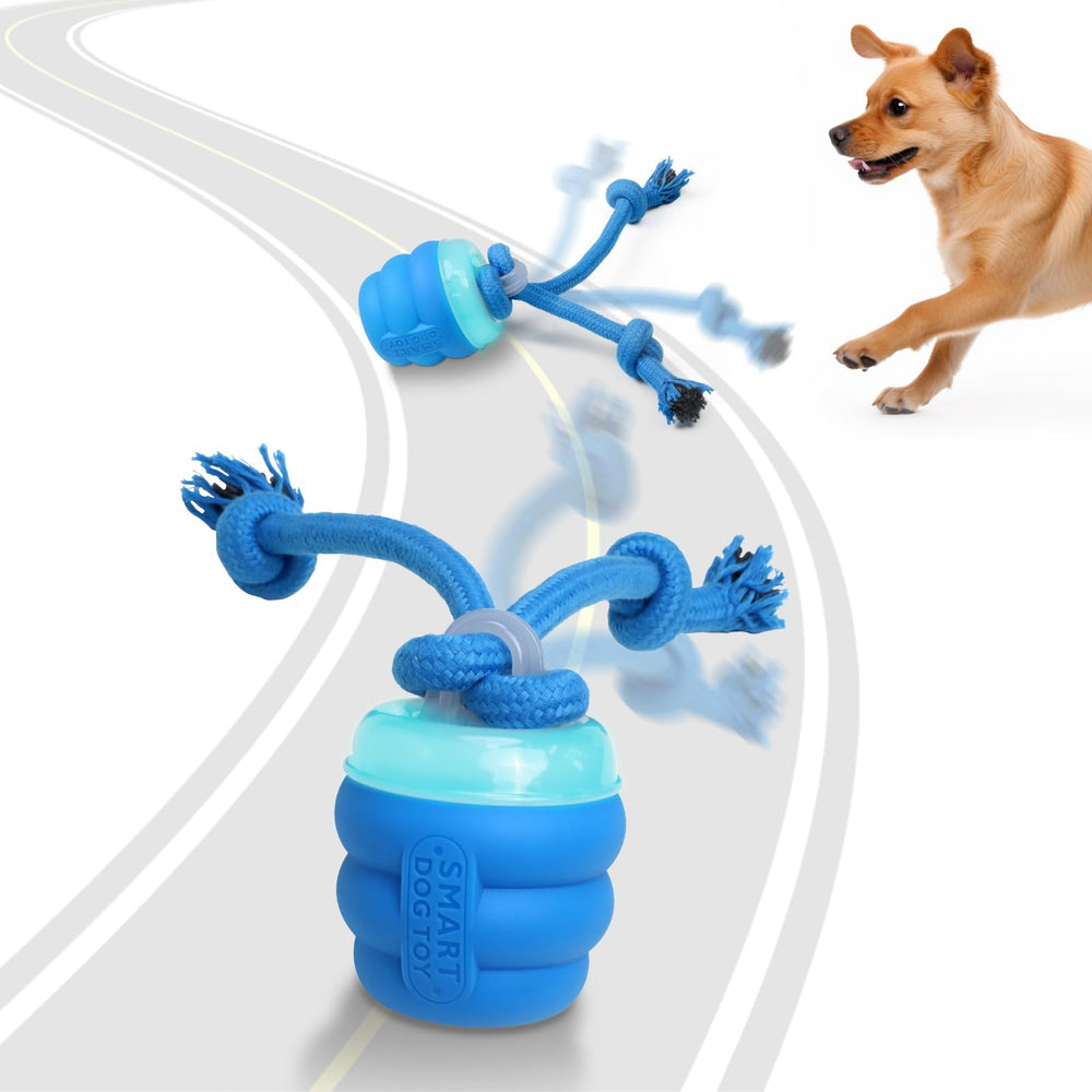 Jouet Giociv interactif avec détection de mouvement pour chien, stimulation et jeu actif.