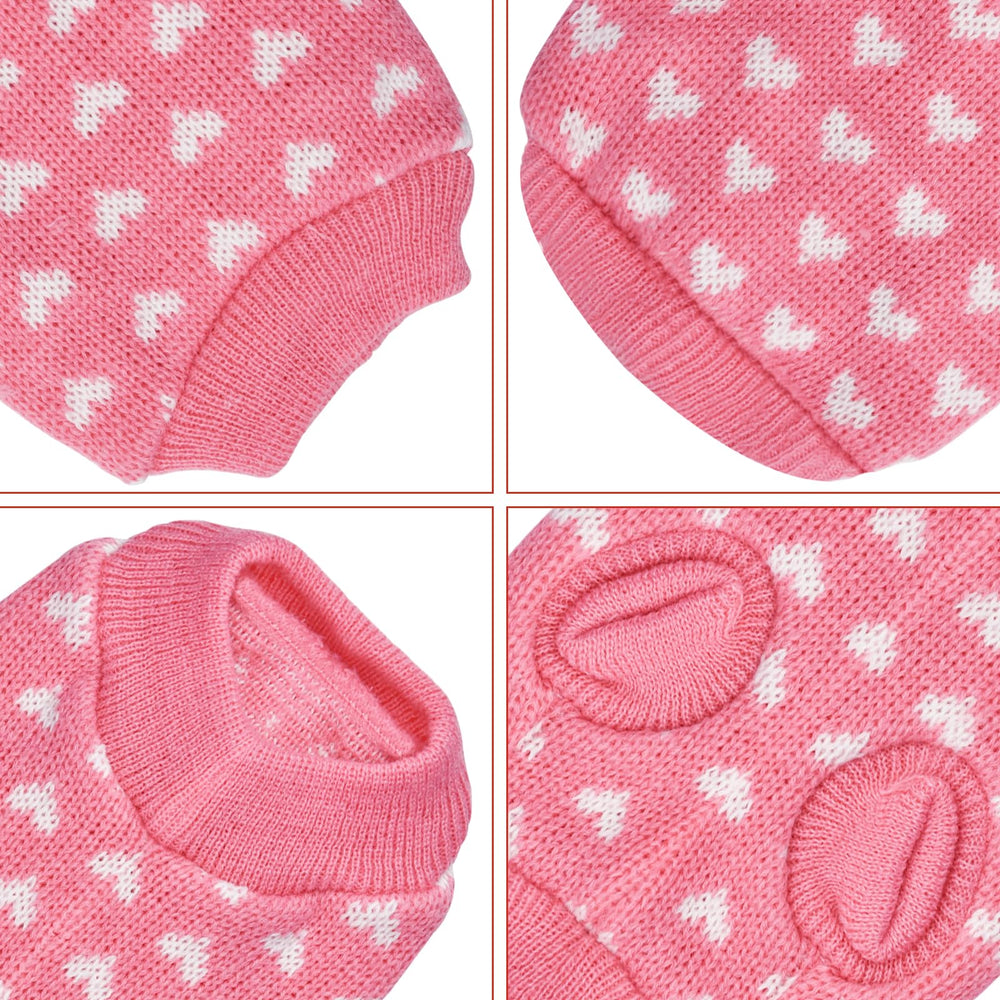 Pull Gistome chien avec trou pour laisse, pratique en promenade.