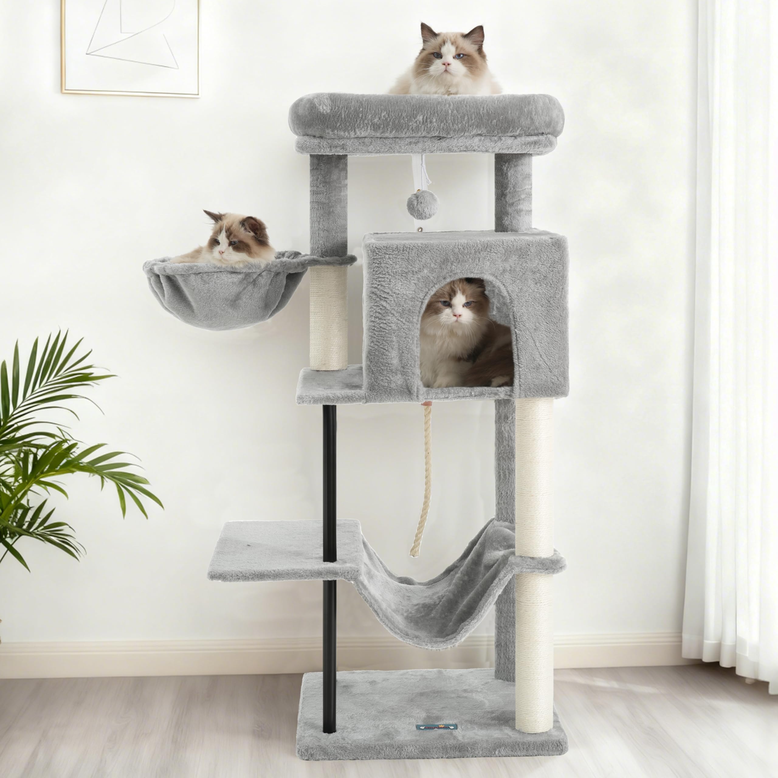 Gitelsnour Arbre à chat – montage rapide avec outils inclus.