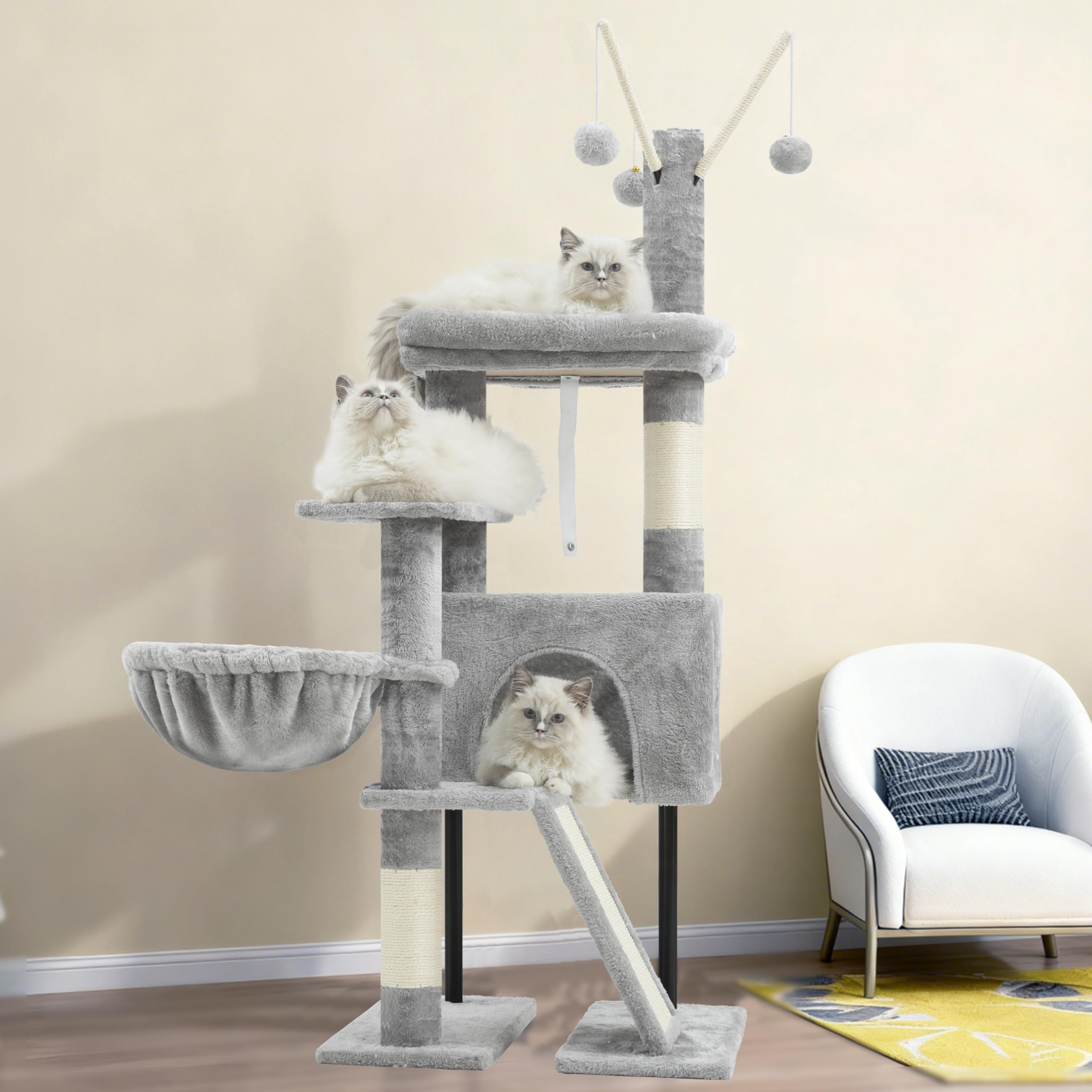 Gitelsnour design compact adapté petits chats et chatons.