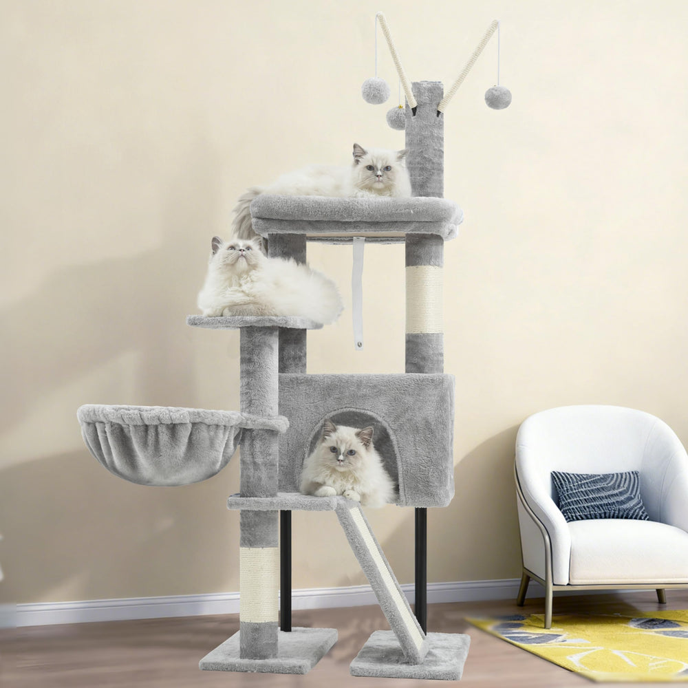 Gitelsnour design compact adapté petits chats et chatons.