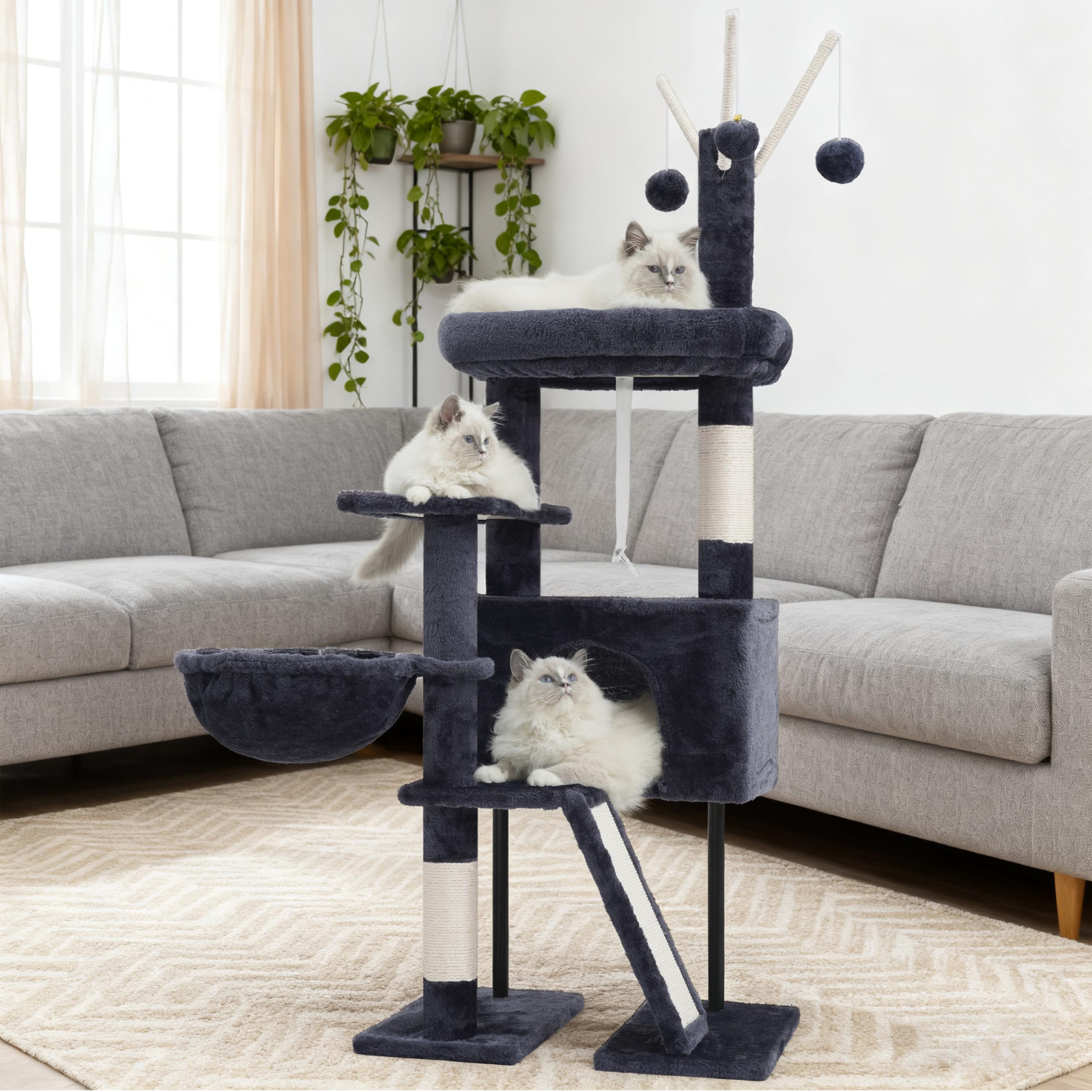 Gitelsnour Arbre-chat intérieur : conçu pour petits chats et chatons.