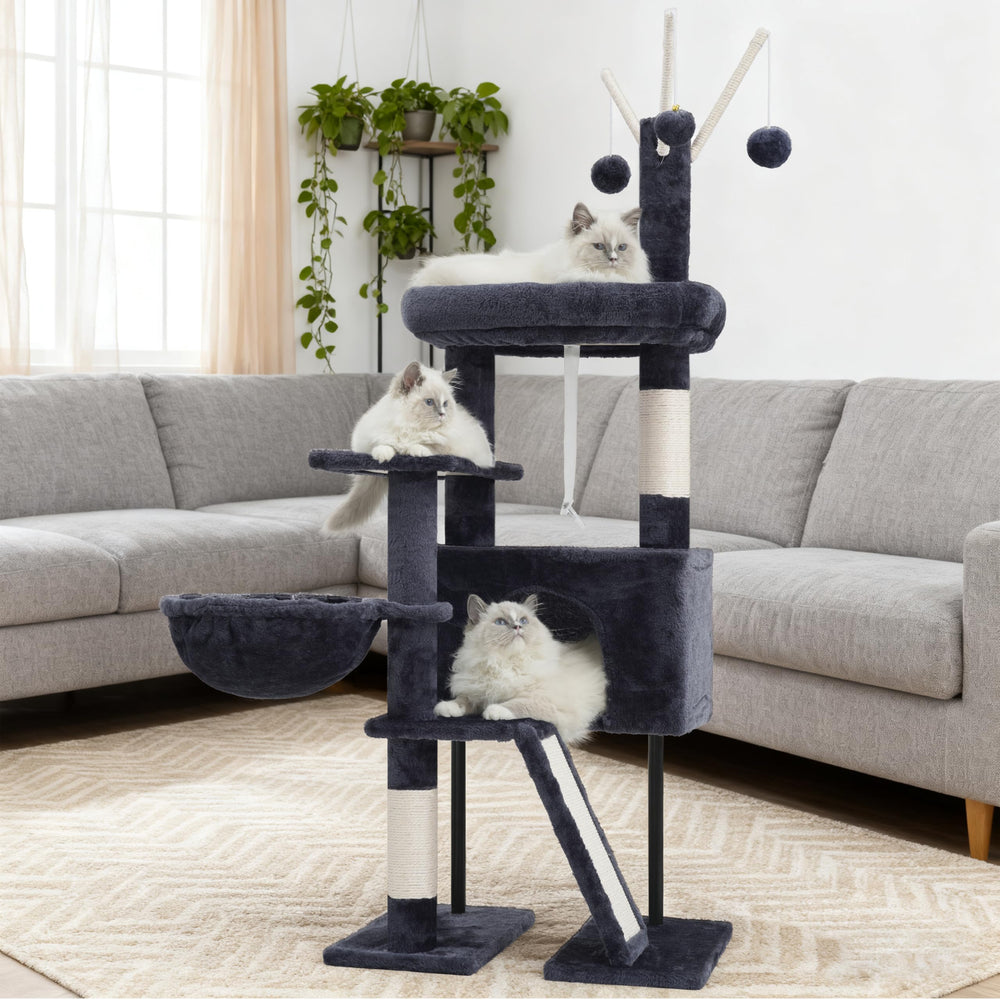 Gitelsnour Arbre-chat intérieur : conçu pour petits chats et chatons.
