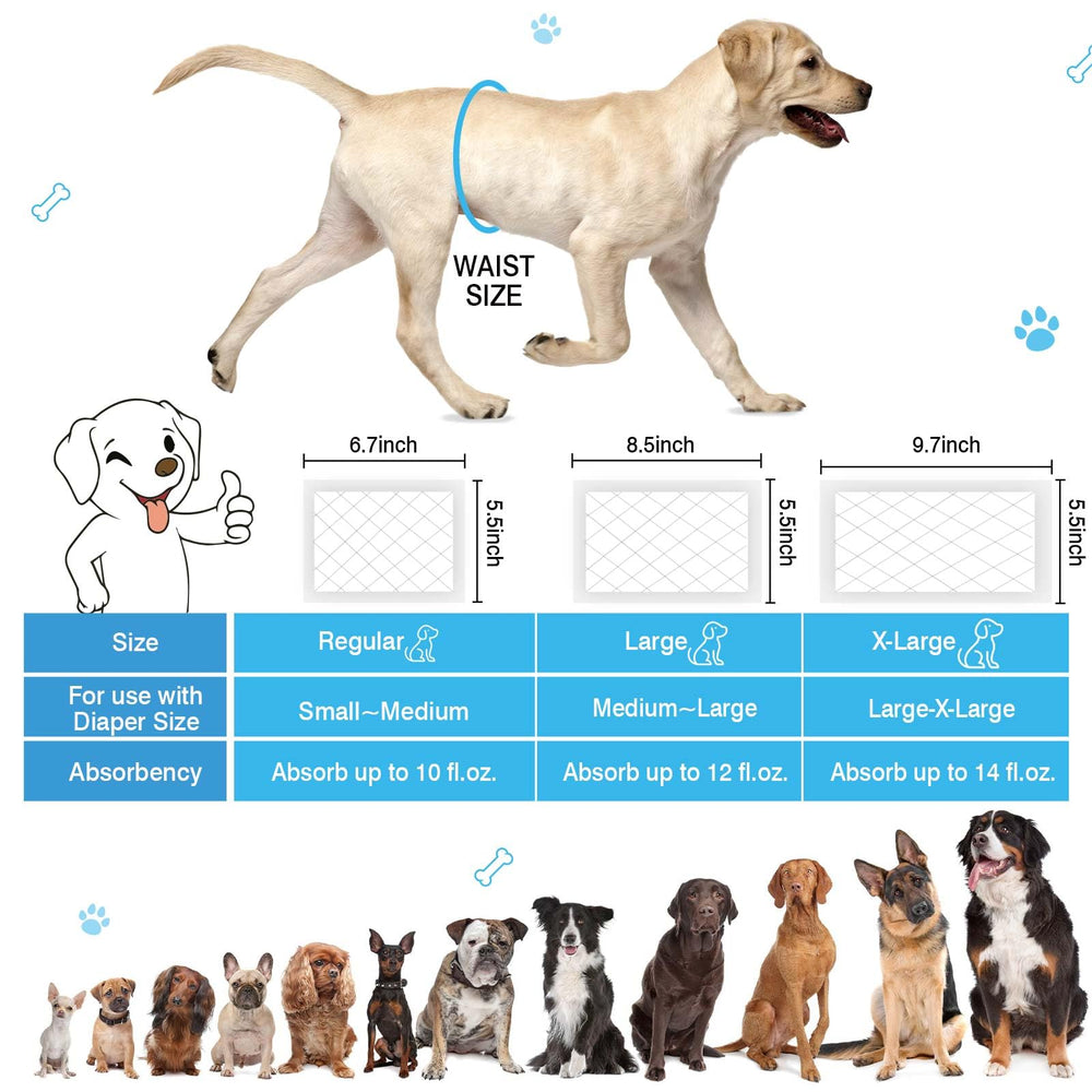 Inserts GIUACL pour chien en chaleur ou marquage, confort et propreté.