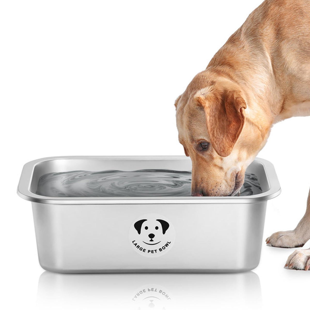 Bol GIXSEGIE en inox XL, grande capacité pour grands chiens.