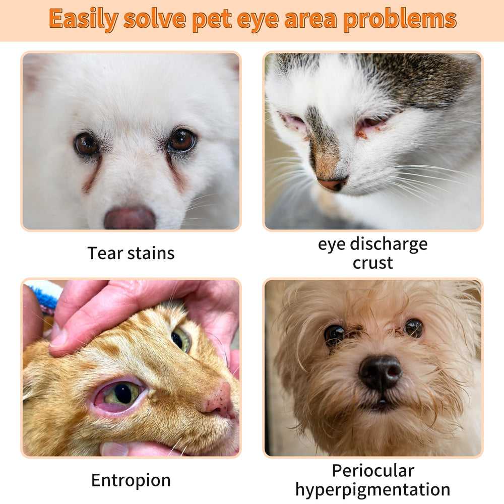 GJYC PET solution nettoyage oeil pro chien chat, 1oz, usage polyvalent.