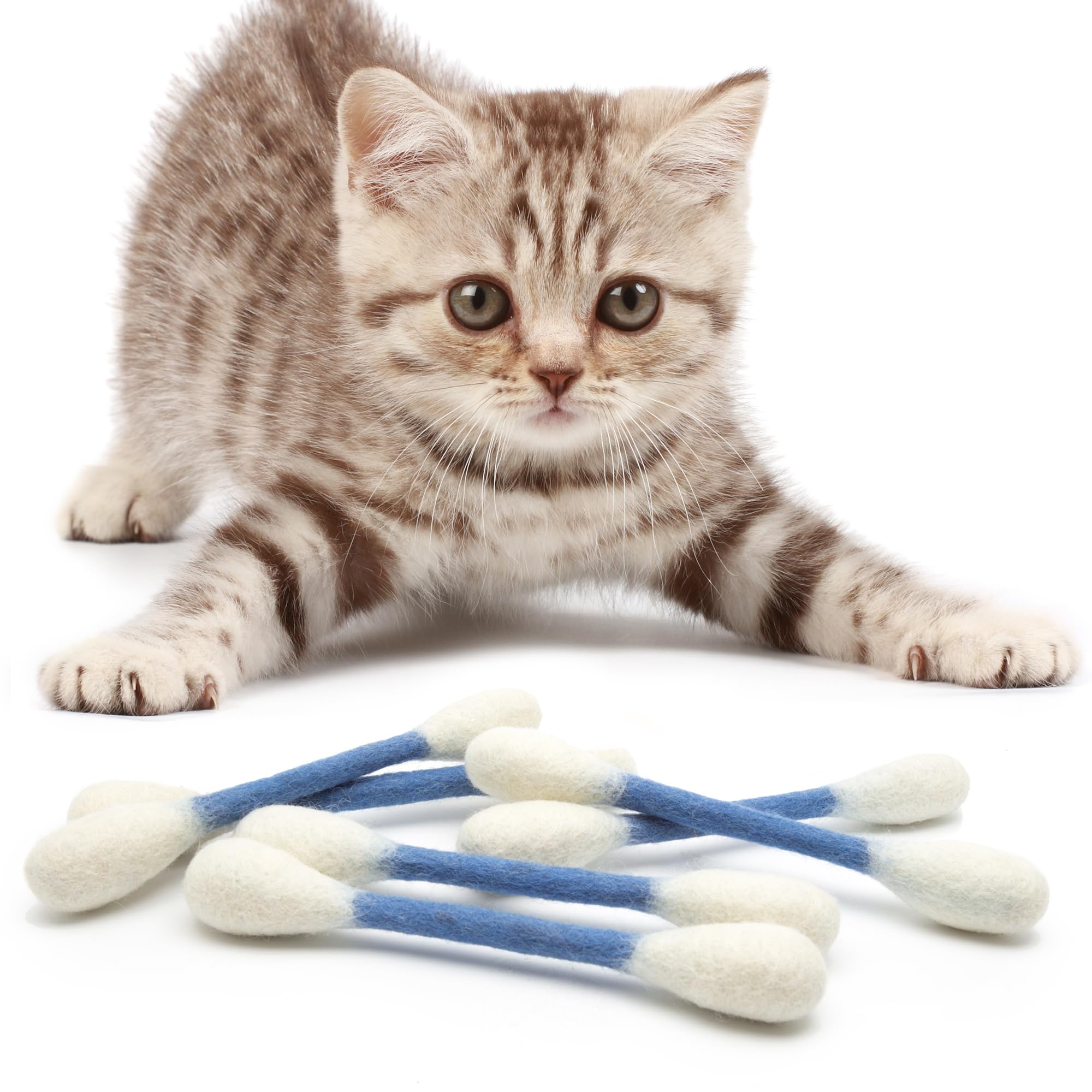 Glaciart One: cadeau idéal de jouets chat catnip pour fête féline.