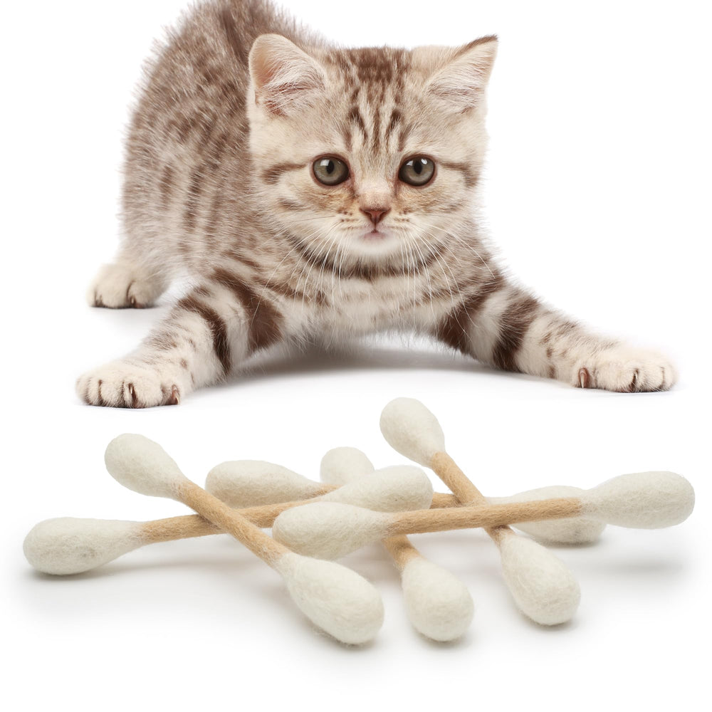 Coffret Glaciart One six jouets chat avec herbe à chat.