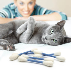 Glaciart One: jouet chat catnip interactif pour chats d’intérieur.