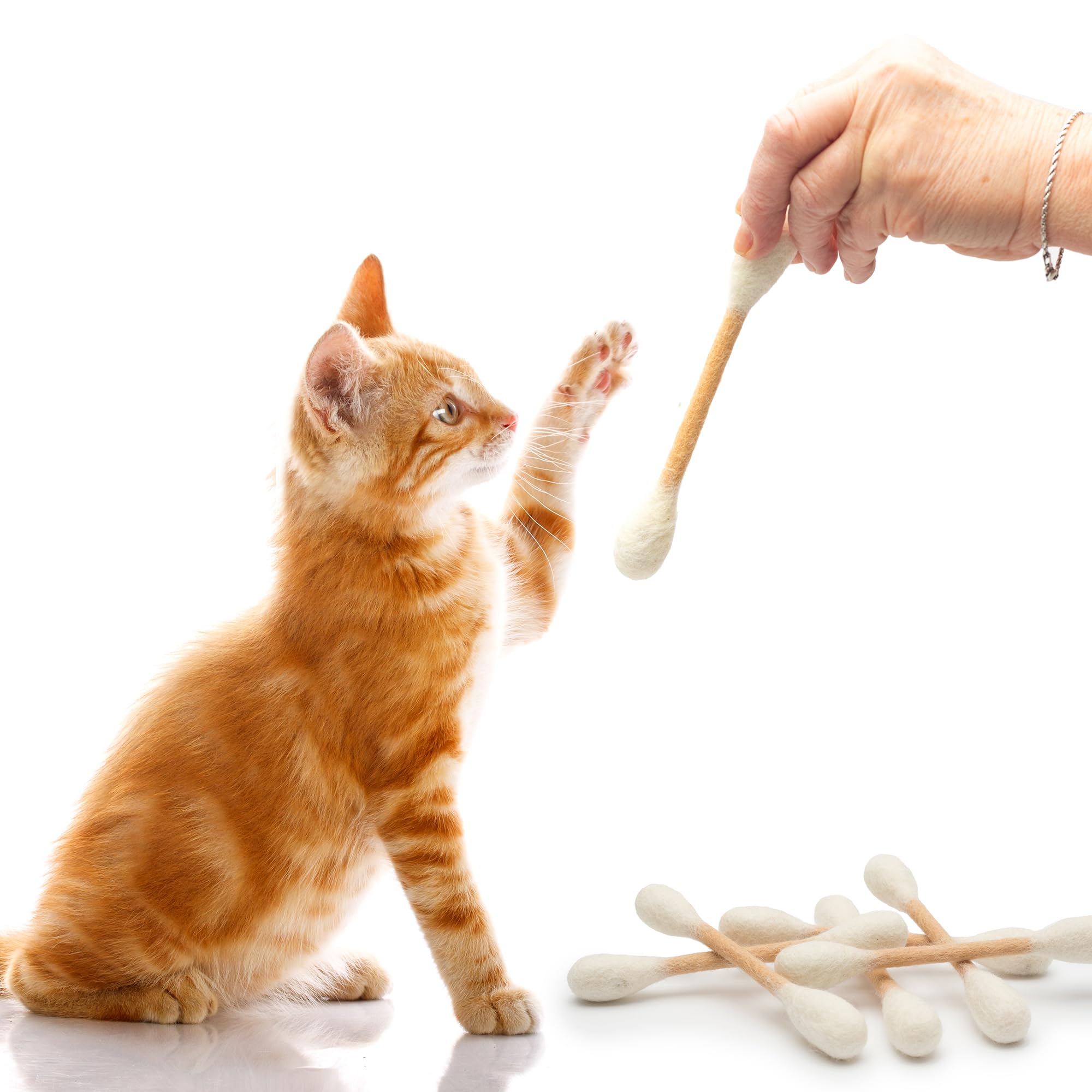 Jouet interactif Glaciart One avec herbe à chat, favorisant l’activité.