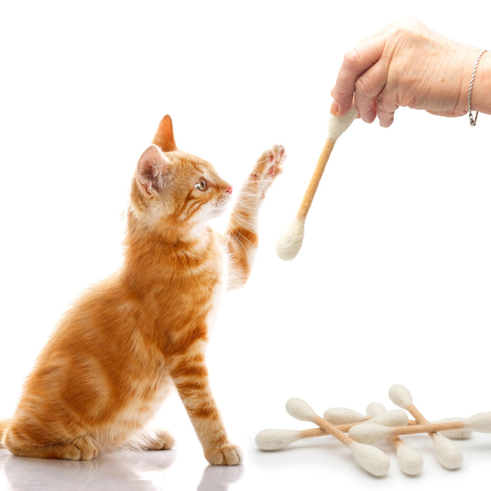 Jouet interactif Glaciart One avec herbe à chat, favorisant l’activité.